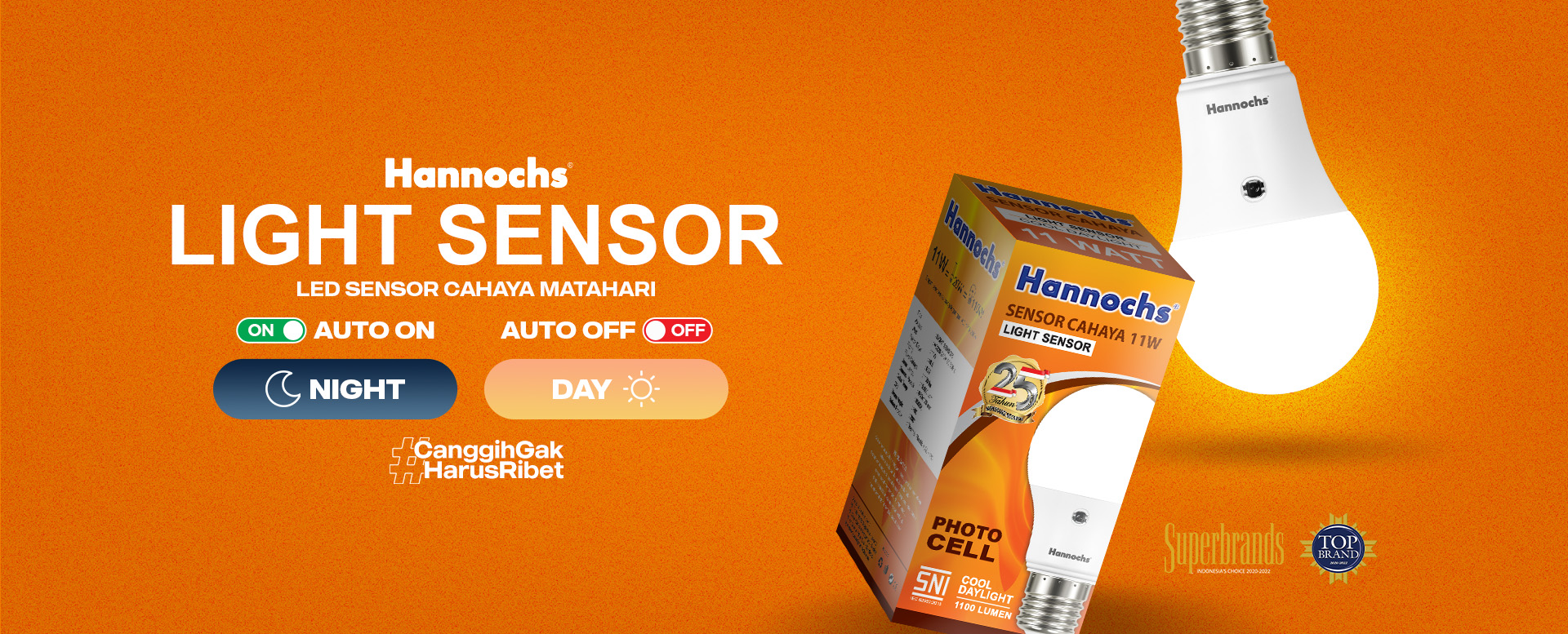 Hannochs Sensor Cahaya